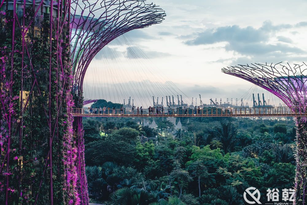 Gardens by the Bay_ Singapore.jpg